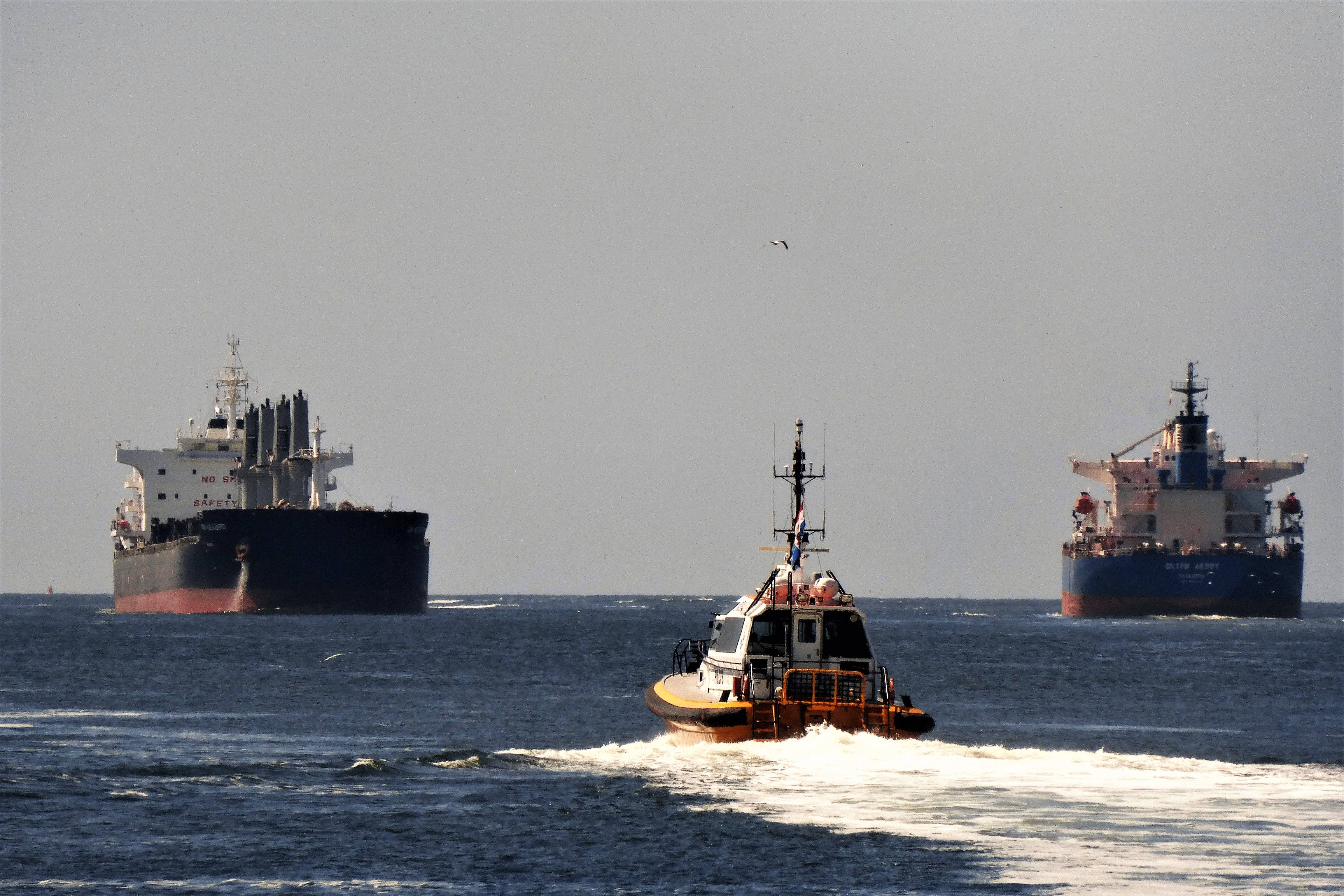 Pieren IJmuiden   28-06-19 